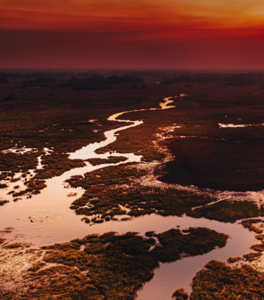 Machaba Gomoti Plains Camp Wildlife Sightings March 2026 Okavango Delta At Sunset