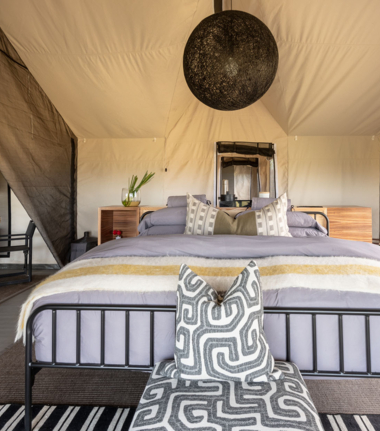 Willdife Sightings Gomoti Plains Botswana September 2024 Gomoti Plains Rooms