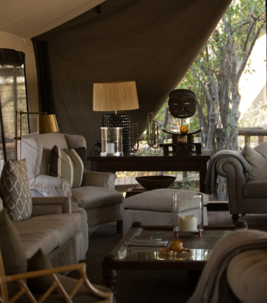 Machaba Machaba Camp Wildlife Sightings August 2025 Machaba Camp Common Area