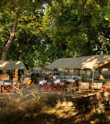 Machaba Mana River Camp Wildlife Sightings May 2026 Mana River Camp Lunch