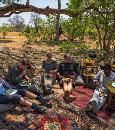 Machaba Camp Wildlife Sightings January 2025 Bush Brunch