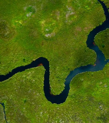 Machaba Monachira Camp Wildlife Sightings January 2026 Flood Plain In Wet Season