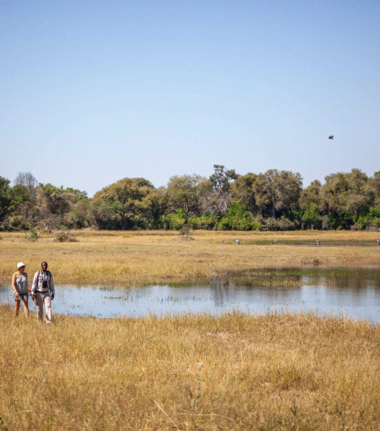 Machaba Botswana Okavango Delta Gomoti Plains Leopard Sightings July 2020 Cta Delta Machaba Botswana Okavango Delta Gomoti Plains Leopard Sightings July 2020 Cta Delta
