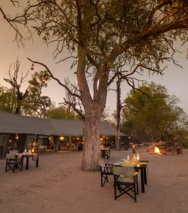 Machaba  Safaris Machaba Camp
