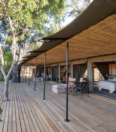 Machaba Kiri Camp Wildlife Sightings July 2025 Kiri Camp Luxury Tent