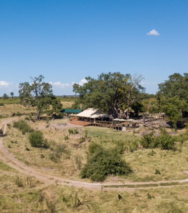 Machaba Verneys Wildlife Sightings January 2025 Cta Camp