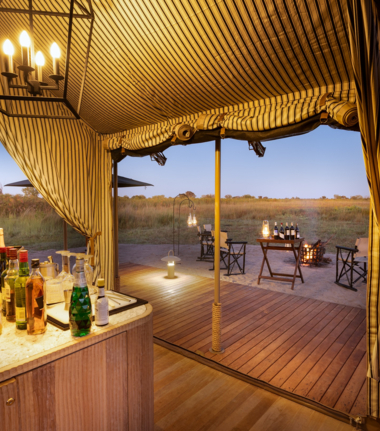 Machaba Monachira Camp Wildlife Sightings May 2025 Monachira Camp Common Area