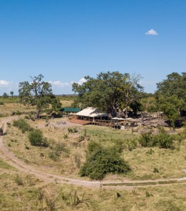 Machaba Deteema Springs Camp Wildlife Sightings July 2025 Deteema Springs