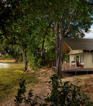 Zimbabwe Mana Pools Ingwe Pan Tent