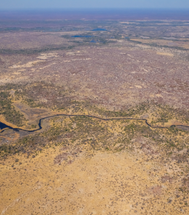 Okavango Delta view from above
