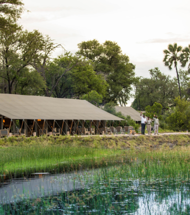 Machaba Safaris Okavango Delta Sightings July Gomoti Plains