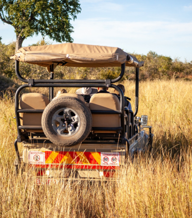 Machaba Deteema Springs Camp  November Sightings Safari Vehicle Machaba Deteema Springs Camp  November Sightings Safari Vehicle