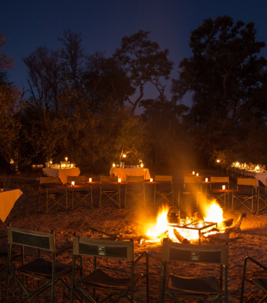 Machaba Camp Wildlife Sightings July 2025 Macahba Camp Bonfire