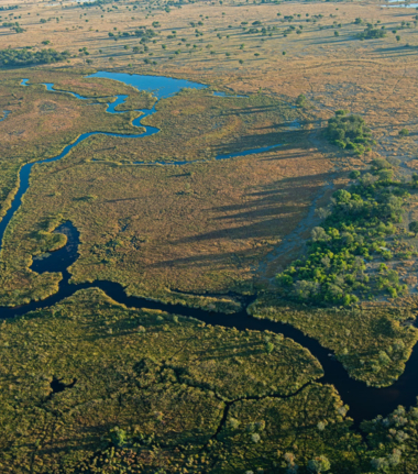 Machaba Monachira Camp Wildlife Sightings July 2025 Okavango Delta Floodplain Machaba Monachira Camp Wildlife Sightings July 2025 Okavango Delta Floodplain