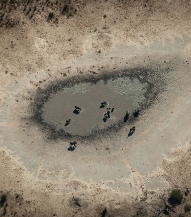 Machaba Deteema Springs Camp Wildlife Sightings December 2025 Elephants In Hwange