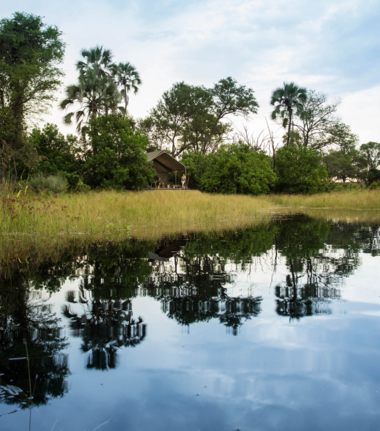 Machaba Gomoti Plains Camp Wildlife Sightings May 2026 Luxury Tented Camp In The Okavango