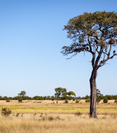 Hwange National Park