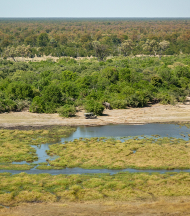 Okavango Delta Cta.jpg Okavango Delta Cta.jpg