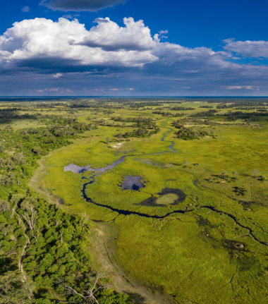 Botswana Okavango Delta Machaba Camp Sightings December 2021 Aerial Okovango Delta
