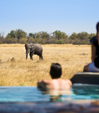 Botswana Okavango Delta Machaba Camp Elephant Pool