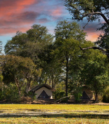 Machaba Safaris Zimbabwe Mana Pools Ingwe Pan Stories Oct 2023 Camp
