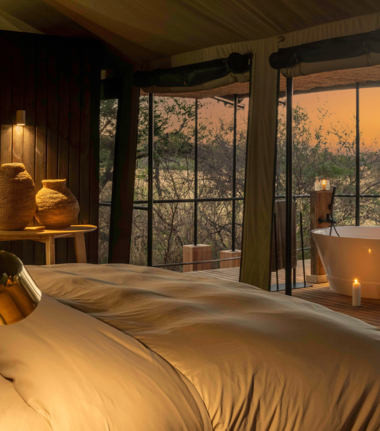 Okavango Delta Wildlife Sightings Kiri Camp Feb 2024 Private Suite