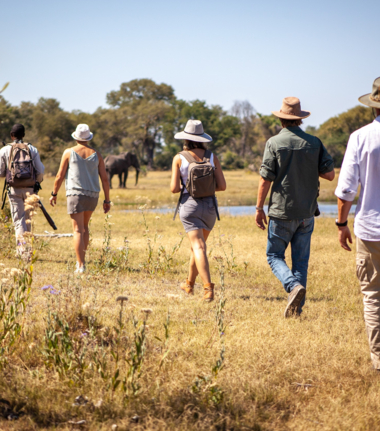 Walking Safari Cta.jpg