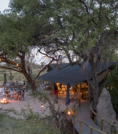 Willdife Sightings Gomoti Plains Botswana September 2024 Gomoti Plains