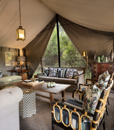 Willdife Sightings Machaba Camp Botswana September 2024 Camp