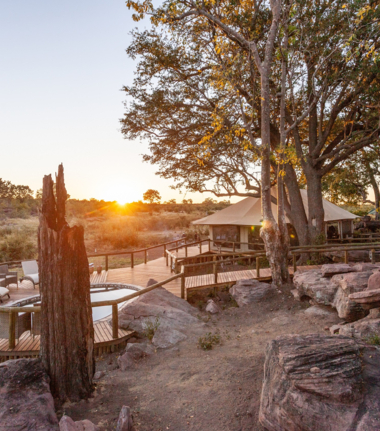 Machaba Deteema Springs Camp Wildlife Sightings April 2025 Deteema Springs Pool Area Machaba Deteema Springs Camp Wildlife Sightings April 2025 Deteema Springs Pool Area