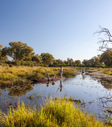 Machaba Camp Wildlife Sightings December 2025 Okavango Delta Flood Plain