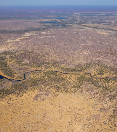 Machaba Gomoti Plains Camp Wildlife Sightings August 2026 Okavango Delta River Channel