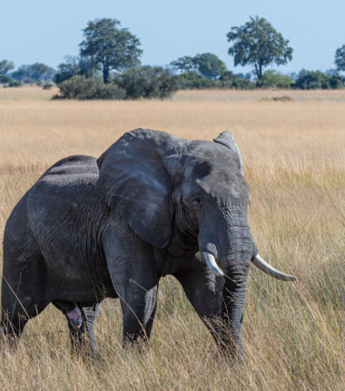 Mike Myers Monachira  June 2024 36