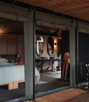 Machaba Safaris Kiri Camp Wildlife Sightings Dec 2024 Suites Machaba Safaris Kiri Camp Wildlife Sightings Dec 2024 Suites