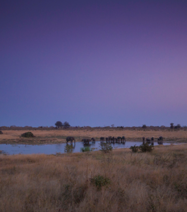 Machaba Zimbabwe Safaris Hwange Flight Offer 2022 Cta Hwange National Park Machaba Zimbabwe Safaris Hwange Flight Offer 2022 Cta Hwange National Park