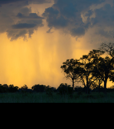 Mike Myers Kiri Green Season 33