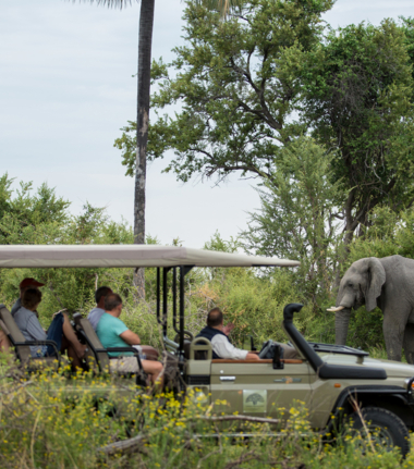 Machaba Safaris Botswana Safaris Dining The Safari Experience