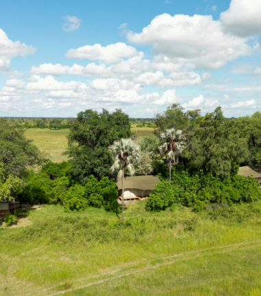 Machaba Monachira Camp Wildlife Sightings January 2026 Monachira Camp