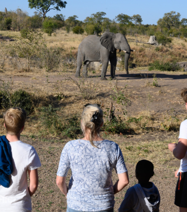 Machaba Safaris Hwange National Park
