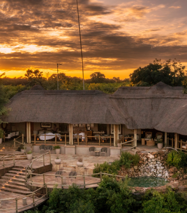 Machaba Web Blog Wildlife Stories Ngoma Safari Lodge