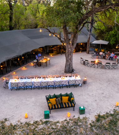 Machaba Camp Wildlife Sightings September 2025 Machaba Camp Dinner Machaba Camp Wildlife Sightings September 2025 Machaba Camp Dinner