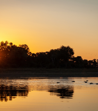 Machaba Kiri Camp Wildlife Sightings October 2025 Savannah At Sunset