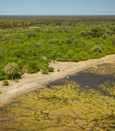 Machaba Camp Wildlife Sightings February 2026 Khwai Concession From Above