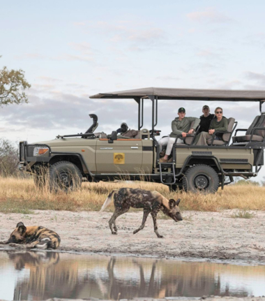 Botswana Kiri Camp Game Drive