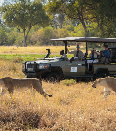 Game Drive at Machaba Camp Game Drive at Machaba Camp