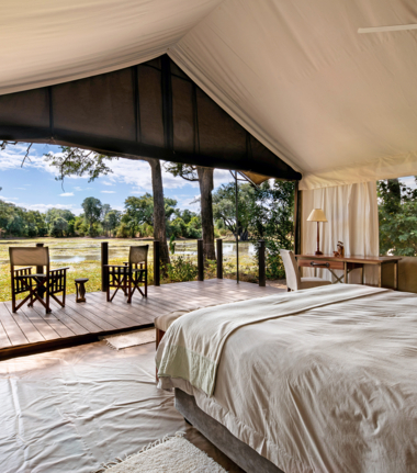 Ingwe Pan Wildlife Sightings September 2024 Tented Rooms