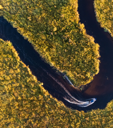 Machaba Monachira Camp Wildlife Sightings May 2025 River In The Okavango Delta