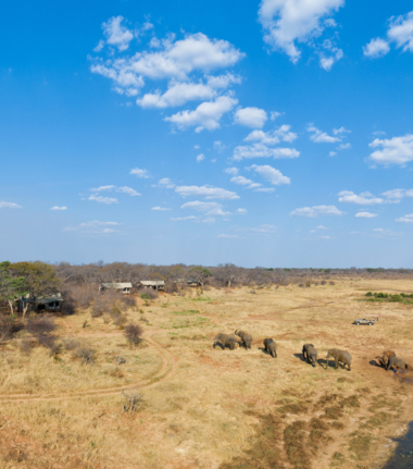 Machaba Safaris Zimbabwe Verneys Camp Wildlife Stories July 2022 CTA Hwange National Park Machaba Safaris Zimbabwe Verneys Camp Wildlife Stories July 2022 CTA Hwange National Park
