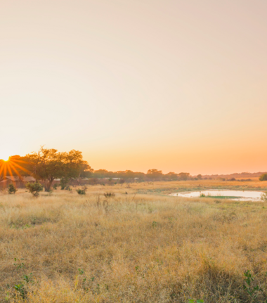 Machaba Verneys Camp Wildlife Sightings May 2026 Hwange National Park In The Afternoon