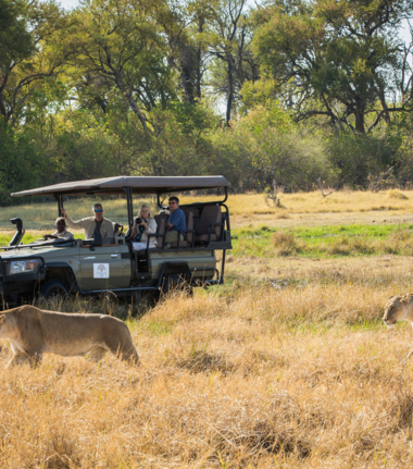 Machaba Safaris Okavango Delta Game Drive Machaba Safaris Okavango Delta Game Drive